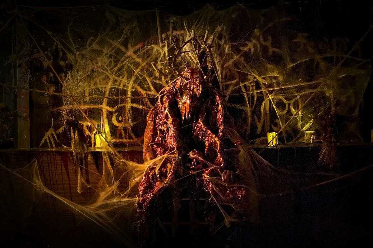 Фото квеста