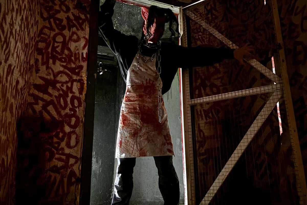 Фото квеста